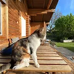 Σαλέ Gemuetliche Blockhuette In Wiennaehe *