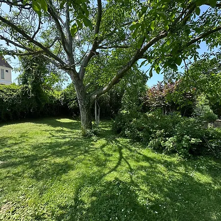 Chalet Gemütliche Blockhütte In Wiennähe *