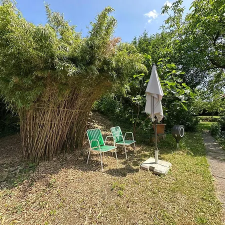 Gemuetliche Blockhuette In Wiennaehe