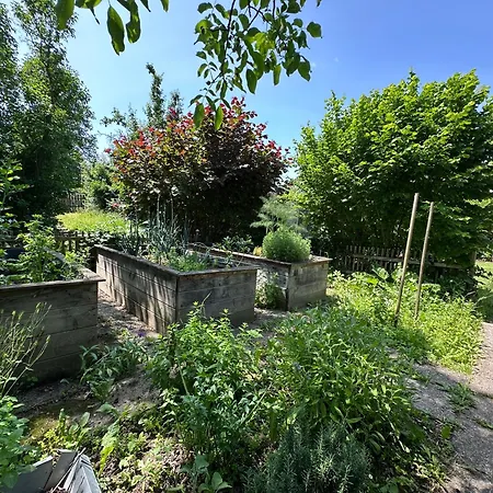Gemütliche Blockhütte In Wiennähe Chalet Zofing