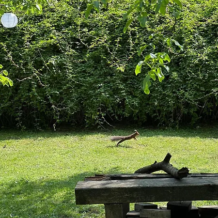 Gemütliche Blockhütte In Wiennähe Zofing