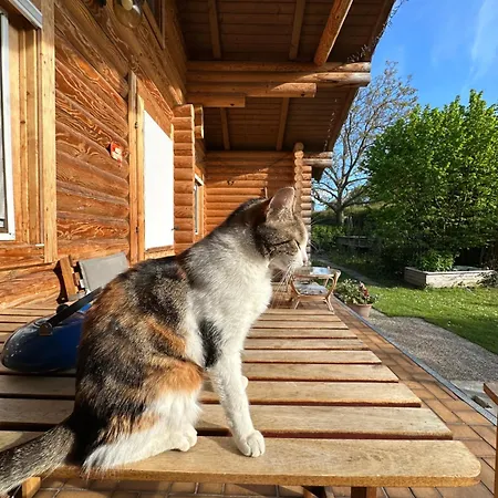 Alpehytte Gemuetliche Blockhuette In Wiennaehe *