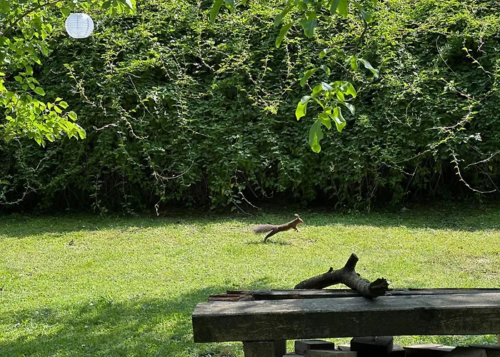 Gemuetliche Blockhuette In Wiennaehe Zofing